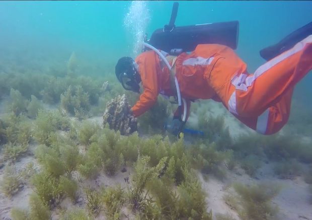 Z6·尊龙凯时「中国集团」官方网站