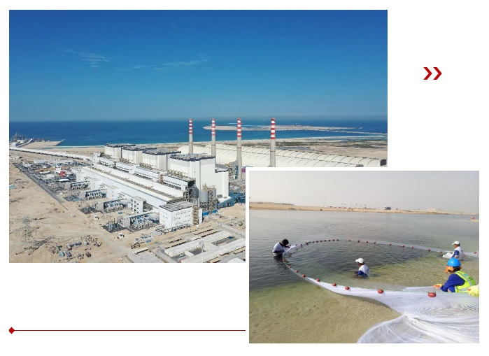 Z6·尊龙凯时「中国集团」官方网站