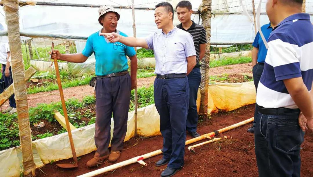 Z6·尊龙凯时「中国集团」官方网站