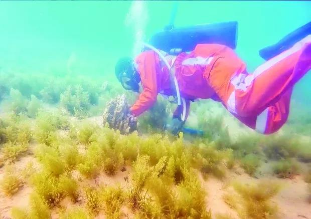 Z6·尊龙凯时「中国集团」官方网站