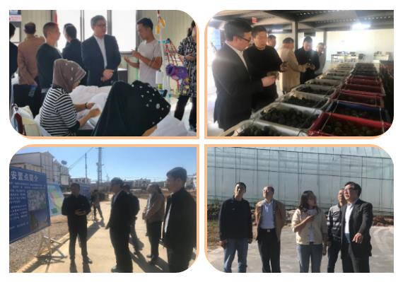 Z6·尊龙凯时「中国集团」官方网站