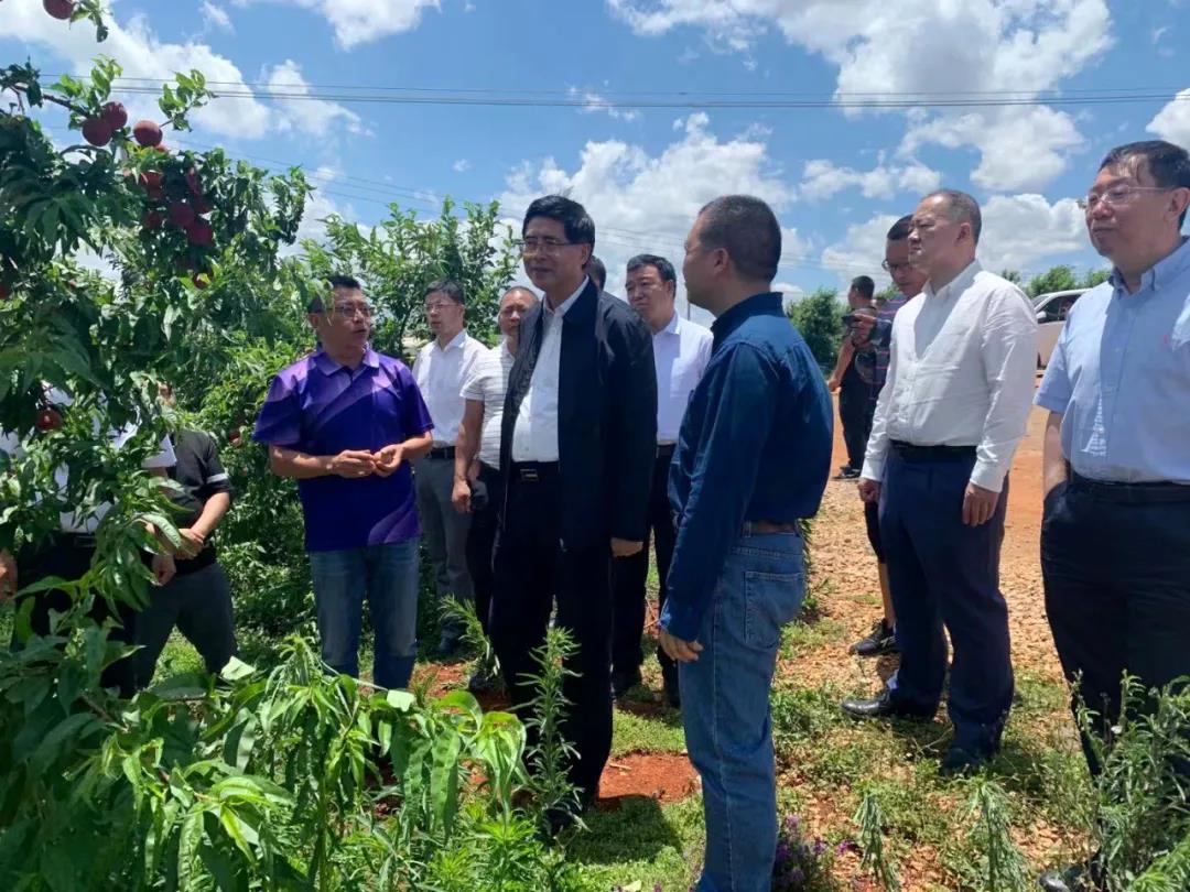 Z6·尊龙凯时「中国集团」官方网站