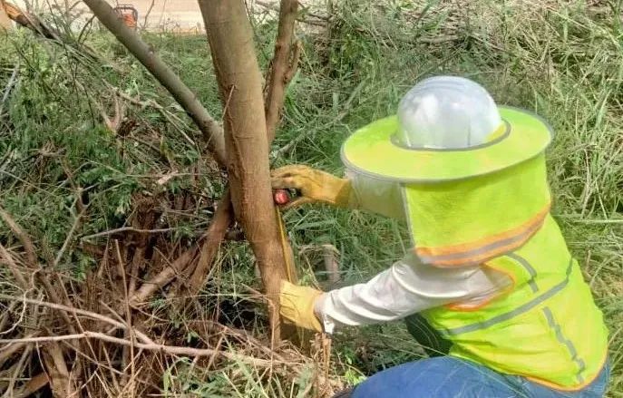 Z6·尊龙凯时「中国集团」官方网站