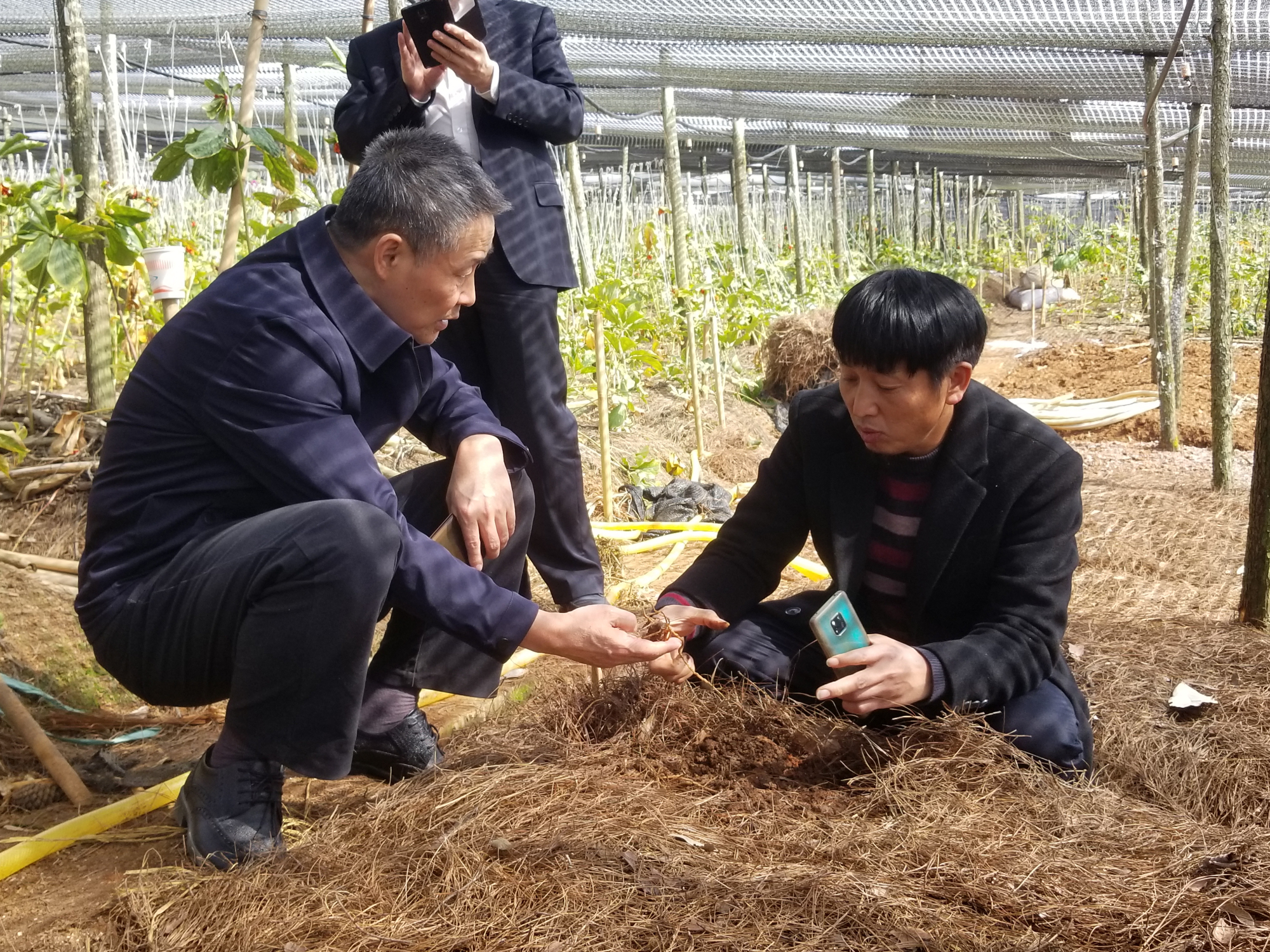 Z6·尊龙凯时「中国集团」官方网站