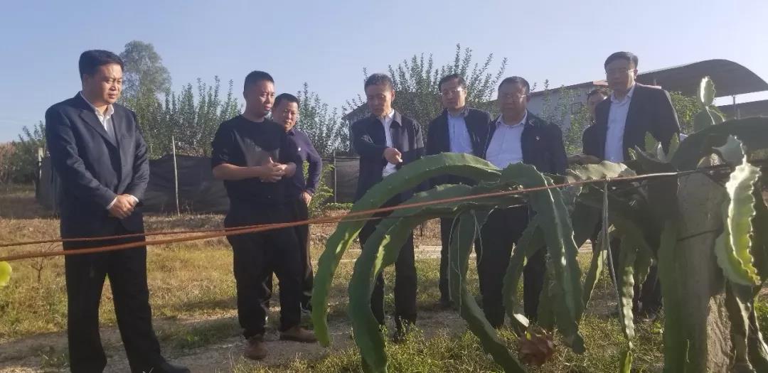 Z6·尊龙凯时「中国集团」官方网站