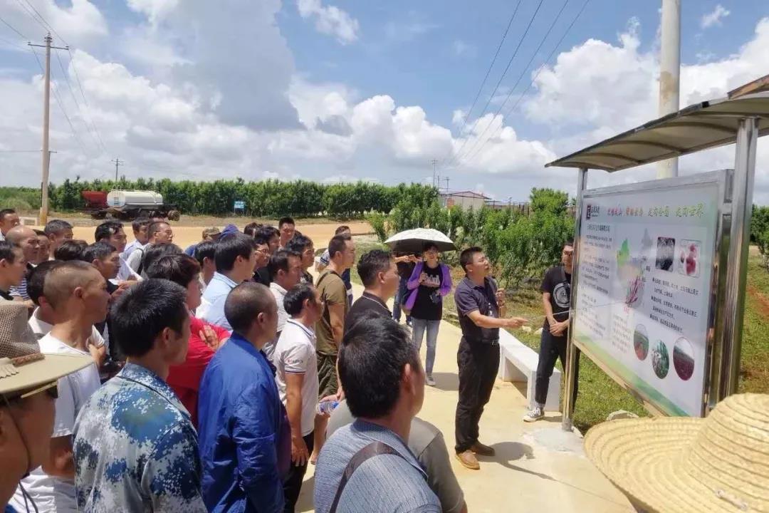 Z6·尊龙凯时「中国集团」官方网站