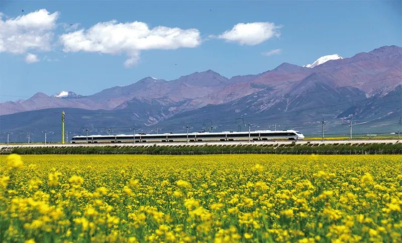 张玉卓、、国资、、央企、、国资委、、书记、、主任、、国企、、企业刷新