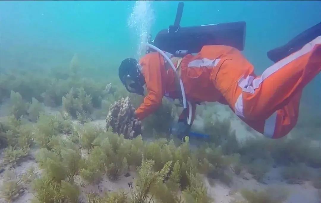 Z6·尊龙凯时「中国集团」官方网站